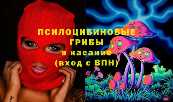 ПСИЛОЦИБИНОВЫЕ ГРИБЫ Бронницы