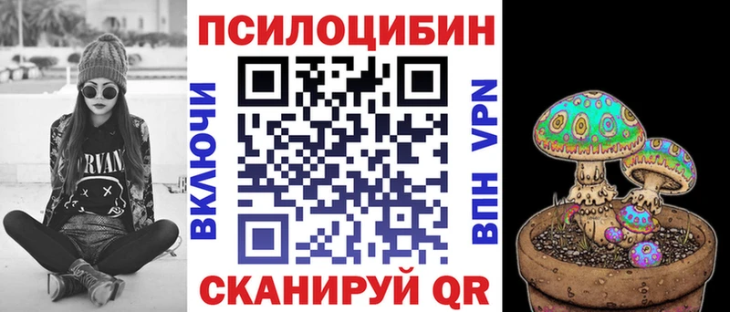 Псилоцибиновые грибы Psilocybine cubensis  Купить закладки  Каменногорск 