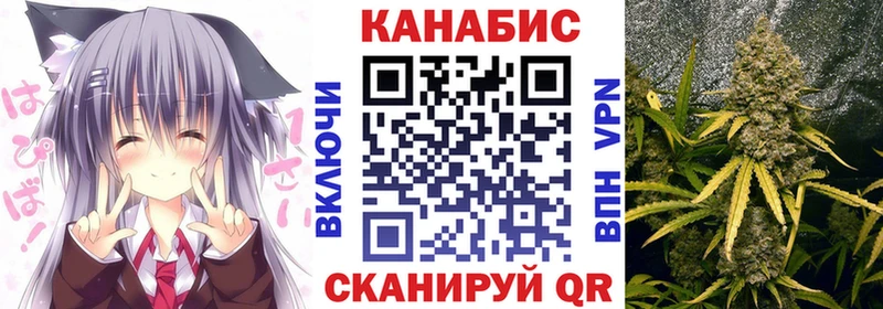 Купить где  Каменногорск  Марихуана индика 